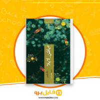 دانلود پی دی اف کتاب یافتن لایلا هادی امینی 189 صفحه PDF