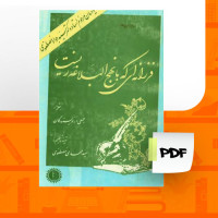 دانلود پی دی اف فرزانه ای که با نهج البلاغه زیست سید مهدی مصطفوی 313 صفحه PDF